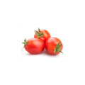 Fresh Roma Tomatoes