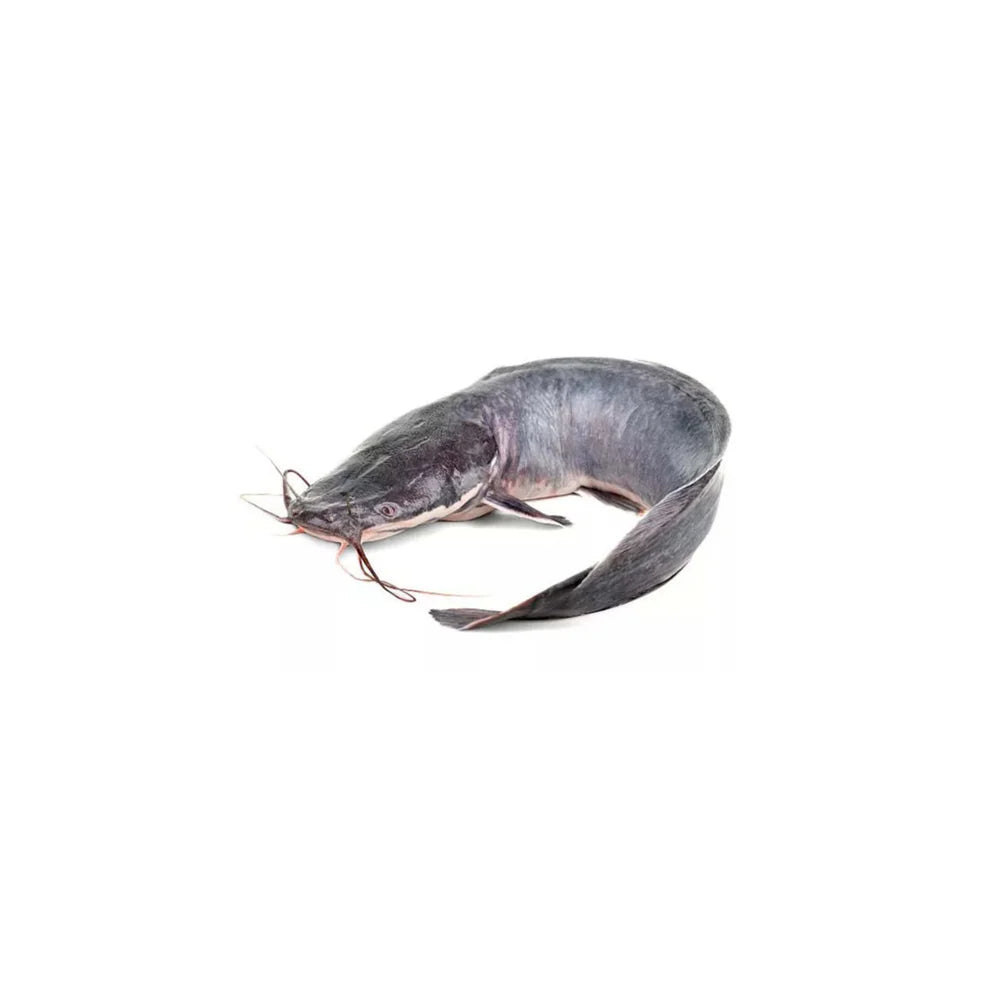 Frozen Catfish