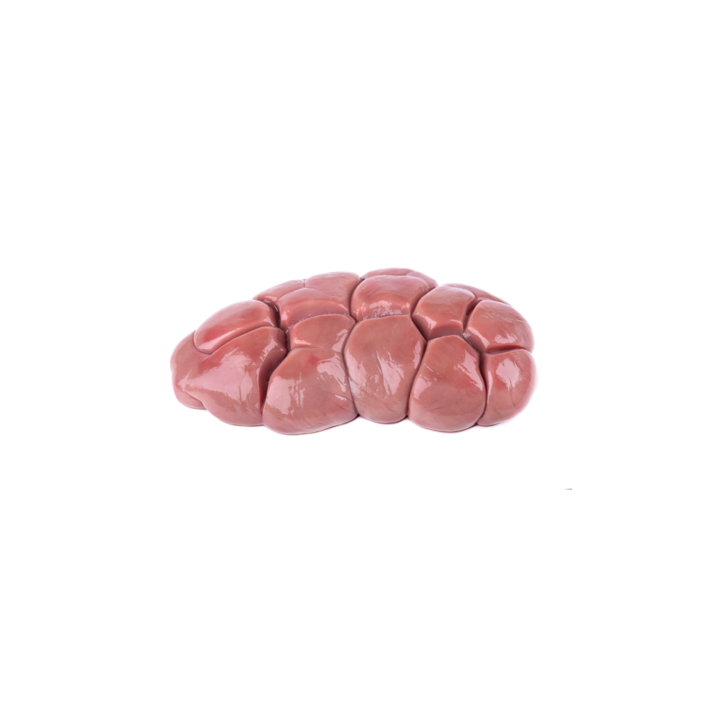 Beef Kidney (2lbs)