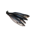 Mackerel - Titus Fish